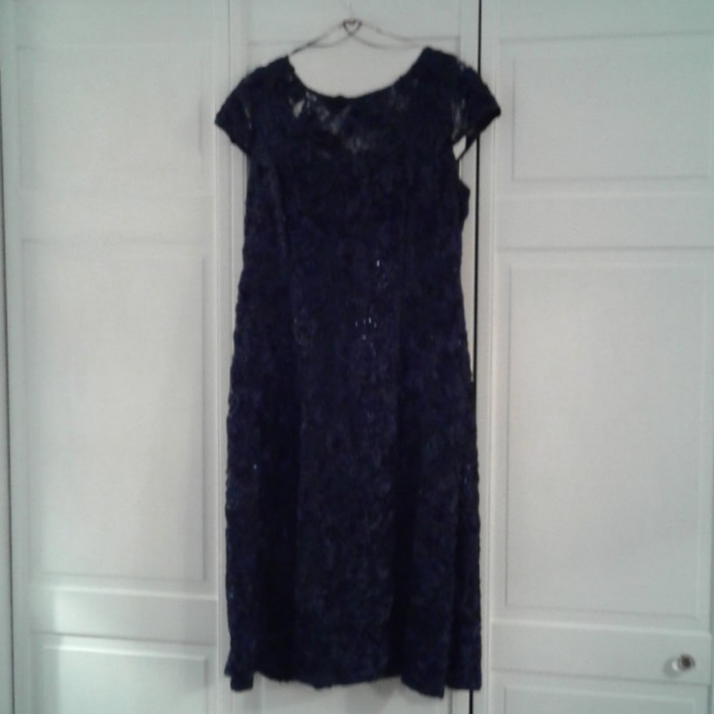 Alex Evenings special occasion dress